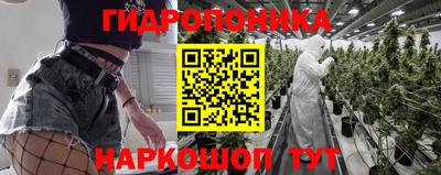 стаф Пушкино