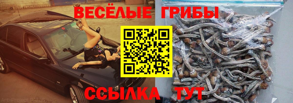 МЕФ Похвистнево