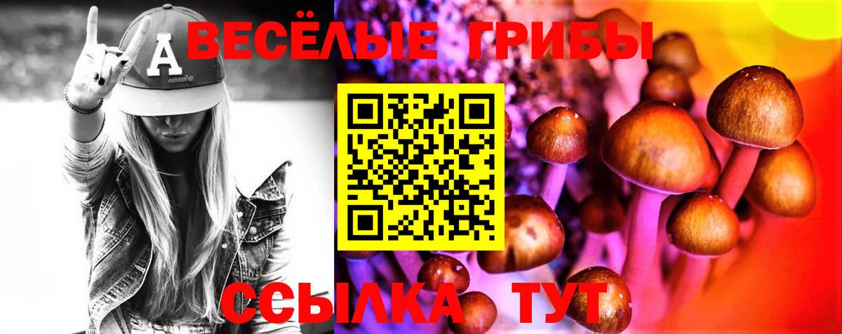 Галлюциногенные грибы мицелий  Вход с VPN  Похвистнево 